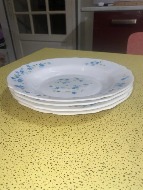 6 ASSIETTES PLATES Arcopal Vintage décor Myosotis veronica jamais