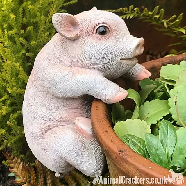 Piglet POT PAL HANGER novelty resin garden ornament decoration Pig lover gift