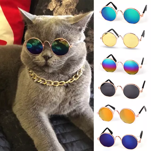 Lunettes De Soleil Vintage Accessoires Pour Animaux De Compagnie Lunettes De R