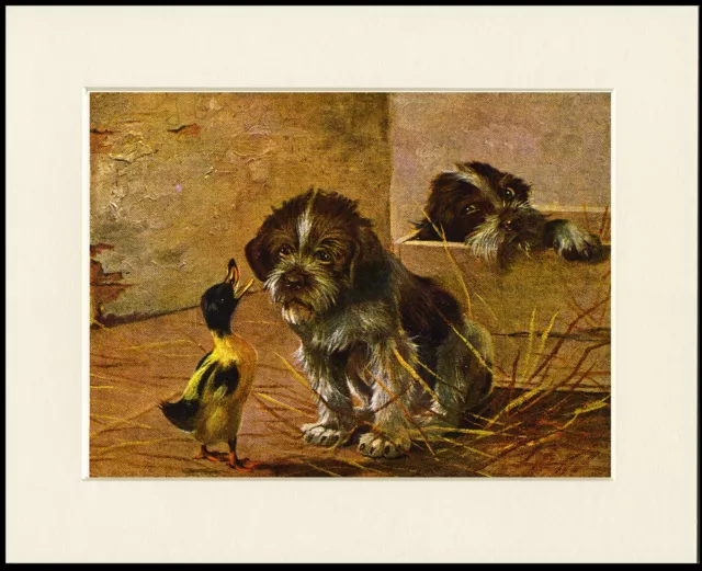 German Wirehaired Pointer Puppy And Duck Lovely Dog Print Mounted Ready To Frame