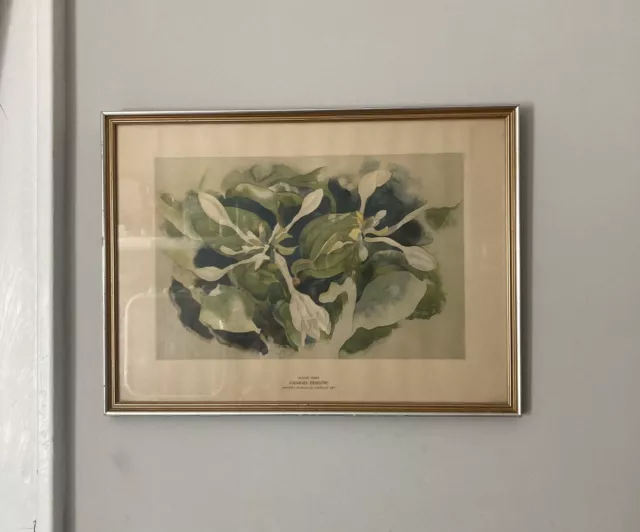 August Lilies By Charles Demuth Print Framed