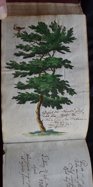 Stammbuch, album amicorum, Johann Georg Meusel, 1760 2