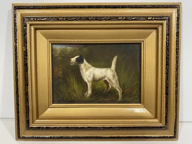 Signed COSTA Realistic Portrait of White Terrier Dog Oil Painting On Wood