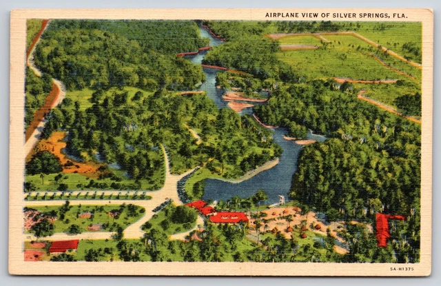 Airplane View Of Silver Springs Florida & Countryside~PM 1949~Linen Postcard