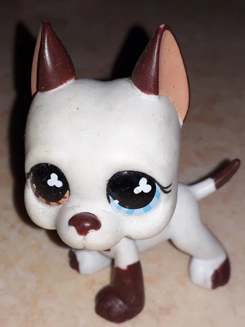 Pet Shop #1688 Danois authentique - Jeux & Jouets