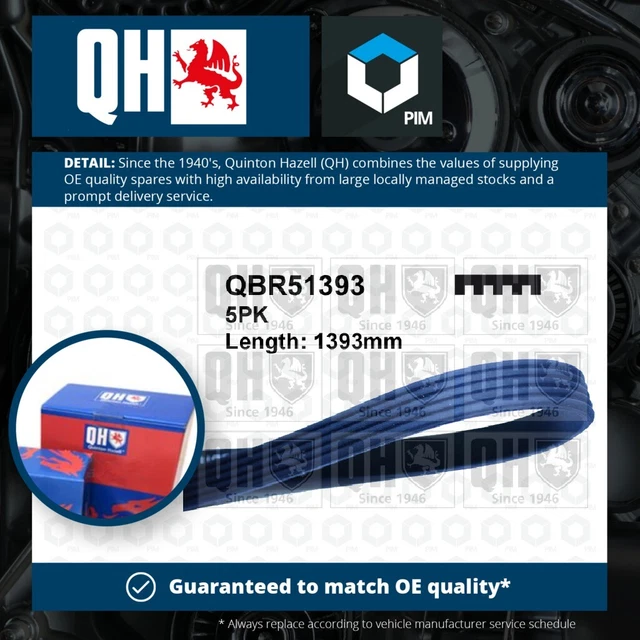 Cintura di trasmissione multi V 5 costole adatta a KIA SORENTO Mk1 2.4 02 a 09 G4JS QH 5717038010