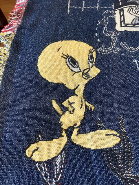 Time Warner Looney Tunes 1996 Embroidered Blanket Throw Vintage 66X46