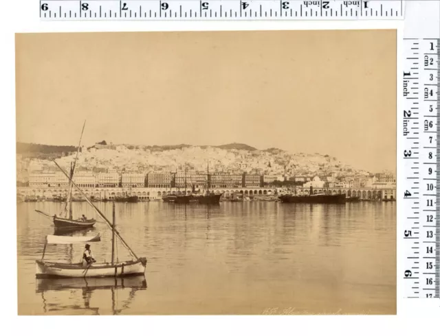 Algeria Algerien Algier Harbour Scene orig large photo good size  1890s/1900