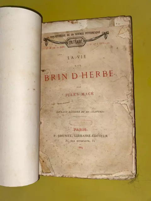 Jules Macé La vie d'un brin d'herbe 1869