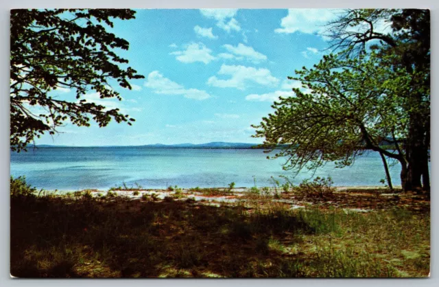 Postcard Ossipee Lake White Mountains New Hampshire NH