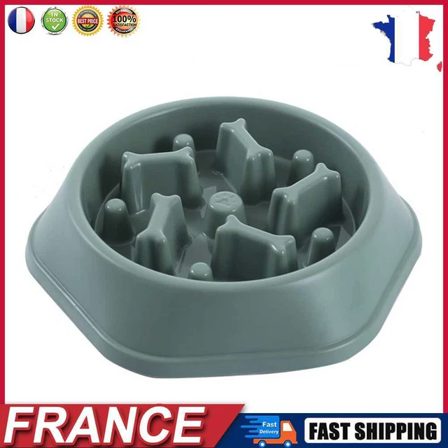 Pet Slow Eating Dish Cat Dog Anti Choking Puppy Feeder Food Bowl (Green) fr