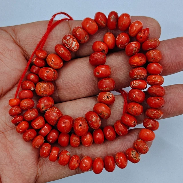Collier en perles de Corail rouge de méditerranée avec fermoir à anneau en Or