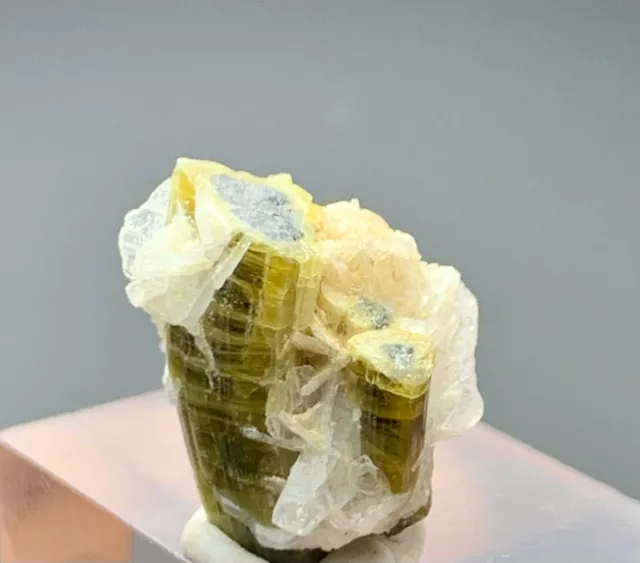 11.30 Carat beautiful terminated greencap tourmaline crystal from Afghanistan