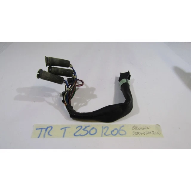 VERDRAHTUNG KILOMETERZÄHLER TACHO Speedo Wiring Triumph Bonneville