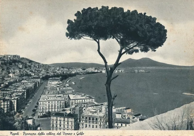 Cartolina Campania Napoli Panorama dal Vomero non Viaggiata