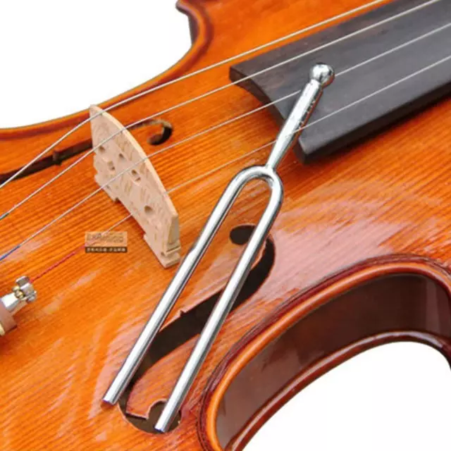 440 Hz TUNING FORK with Soft Shell Standard A Tuning Fork T3O0