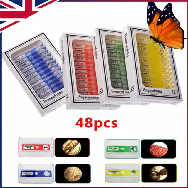 48x Microscope Prepared Slides Insects Plant Animal Specimen Plastic for Kids UK