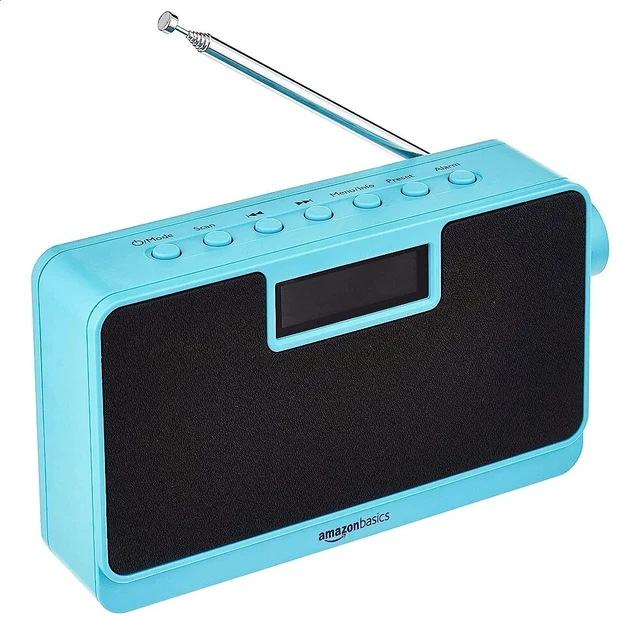 AMAZON BASICS PREMIUM Portable DAB/FM Radio w/ Mono Display and ...