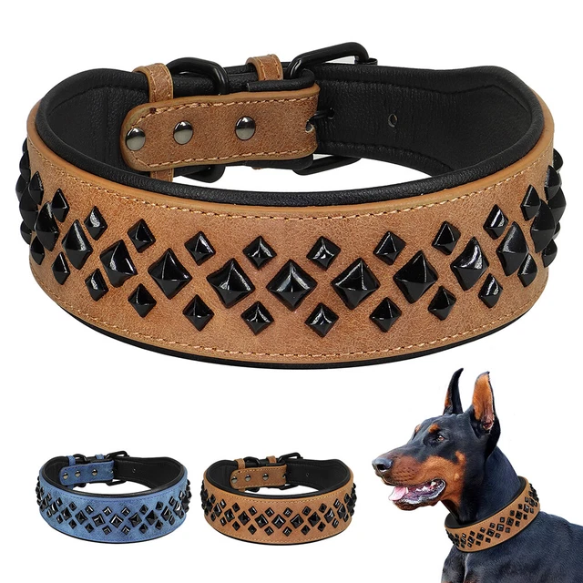 Lederhalsband Rainbow Für Hunde – Extra Breit, In M, L, XL, Mit Bunter Zierkette