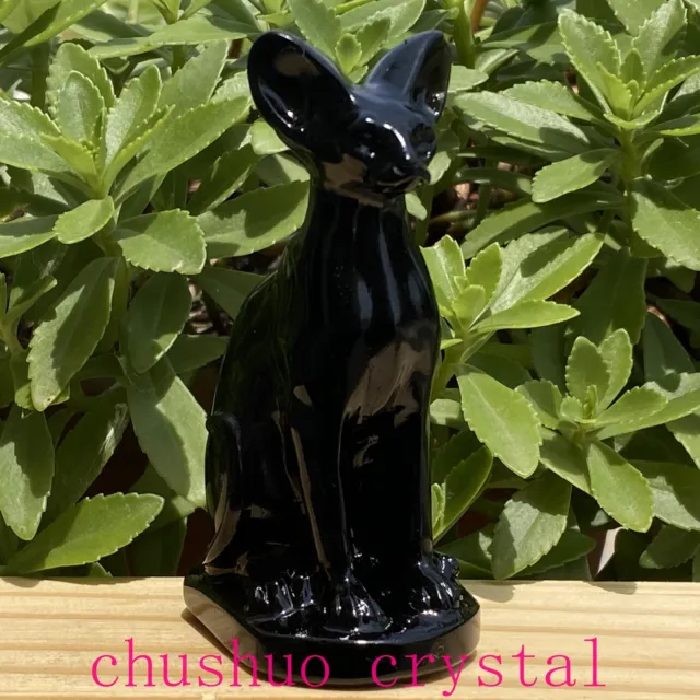 1pc Natural Obsidian Hairless cat Quartz Crystal Skull Carved Figurines Gem 3"