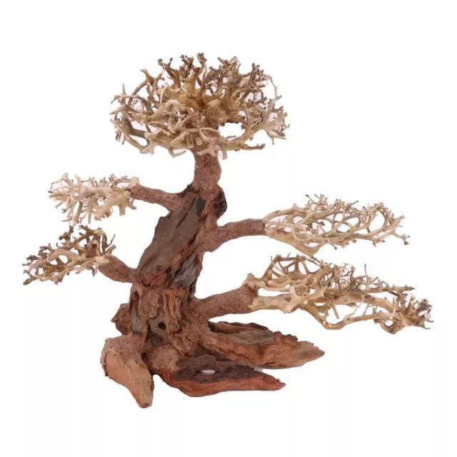 XL Bonsaï Arbre Nr.12028 Racine Bois Décoration Aquarium Aquascaping Nature