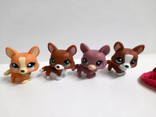 Littlest Pet Shop Corgi #897 #1533 #2150 #2290 Originale Hasbro LPS 2