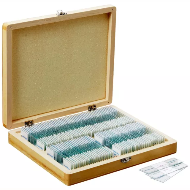 AmScope PS100B 100 PC Prepared Microscope Glass Slides - Set B