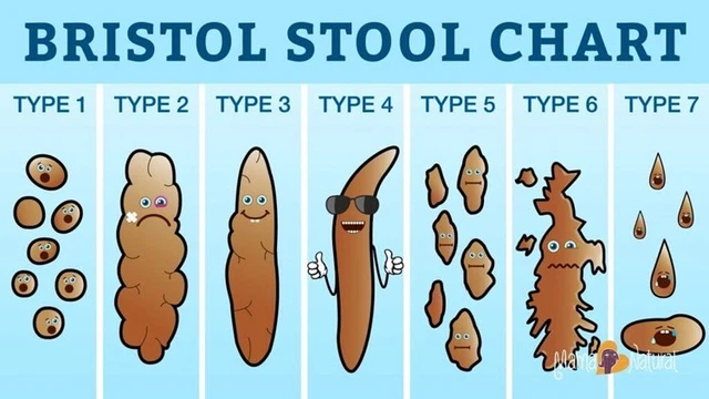 VINYL STICKERS BRISTOL Stool Chart medical poo humour nurse laptop diet ...