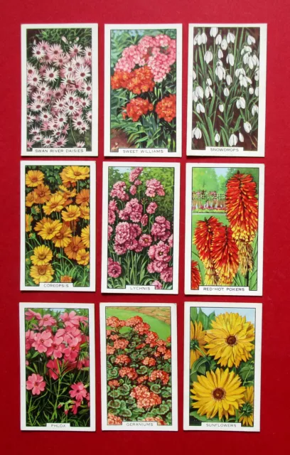 GALLAHER 9 VINTAGE 1938 CIGARETTE CARDS GARDEN FLOWERS  FOR No's  SEE PICTURES