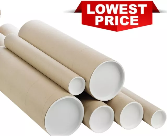 Cardboard Postal Tubes With Plastic End Caps A0 A1 A2 A3/A4 49.5MM 2" 75.5MM 3"