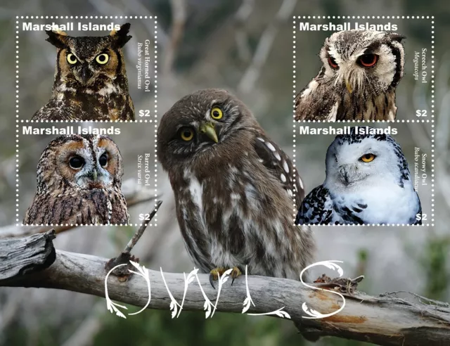 OWLS (Great Horned/Barred/Screech) Birds Stamp Sheet #26 (2021 Marshall Islands)