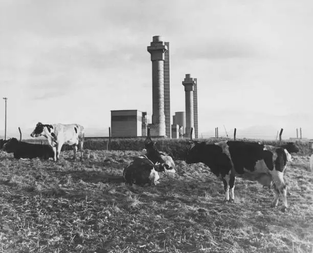 Windscale Nuclear Reactor In Cumbria 1958 Old Photo