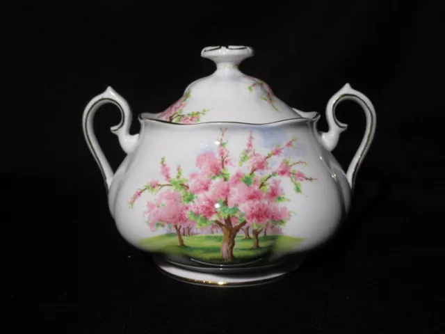 Royal Albert Blossom Time Covered Sugar Bone China Made in England