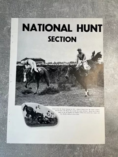 Freebooter - Gewinner des Grand National 1950 - Originaldruck - März 1952 2