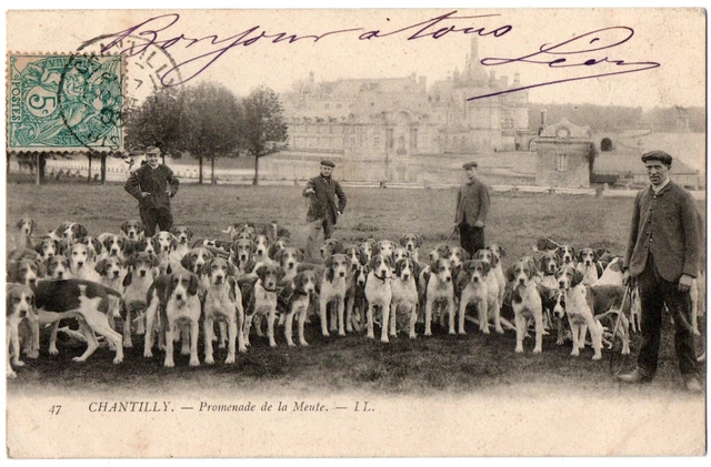 CPA 60 - CHANTILLY (Oise) - 47. Running Hunting. Promenade de la Meute - LL