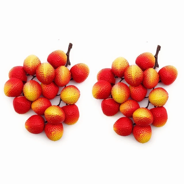 Food Sample Lychee Fruit With Branches Set Of