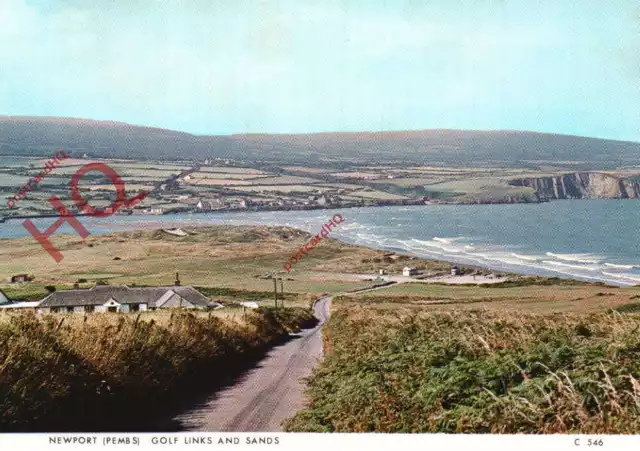 Picture Postcard_ Newport, Pembs, Golf Links and Sands [Judges] C 546