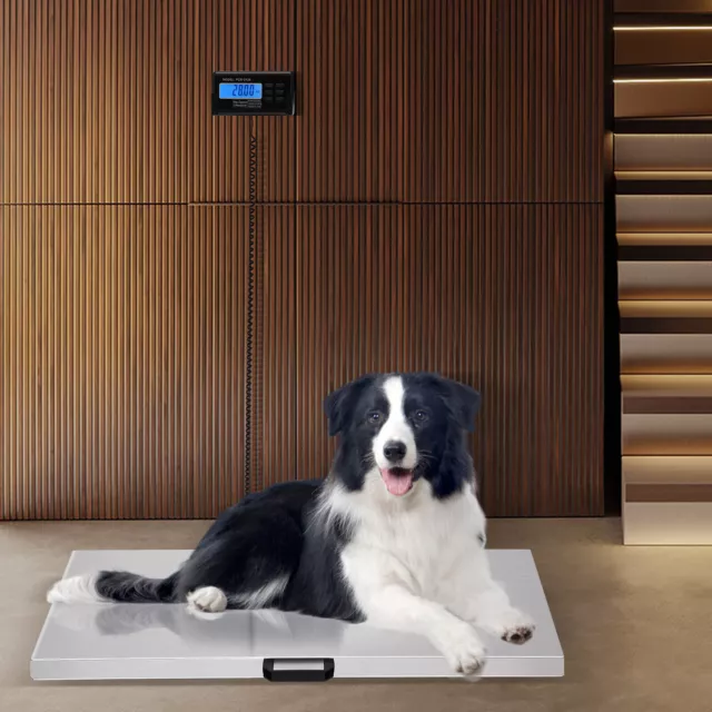 440LBS Digital Livestock Vet scale Pet Pig Sheep Accurate Bench 60/120/200KG NEW