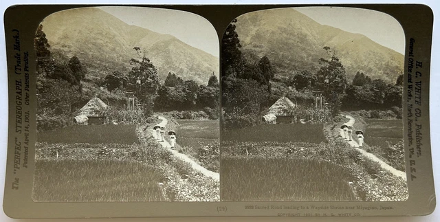 Japan Miyagino Landschaft -frauen 1901 Foto Stereo Vintage P81L9n53