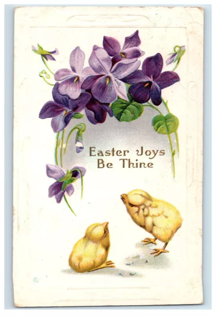 C1910 Adorable Chicks Chickens Violets Easter Postcard P114E