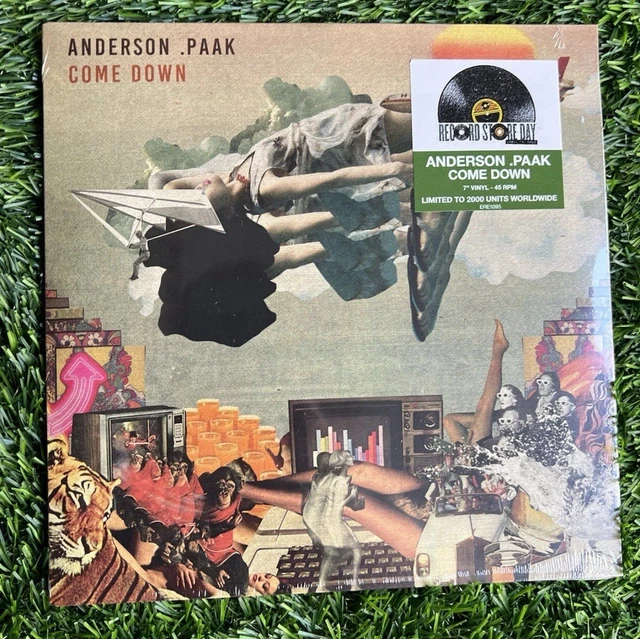 ANDERSON .PAAK COME Down 7