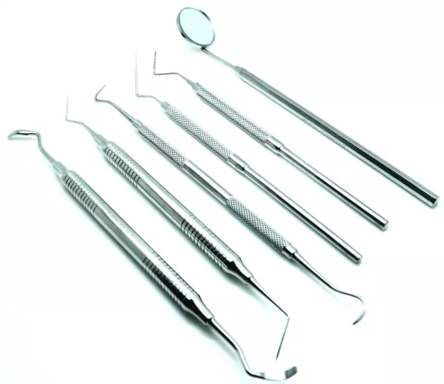 6 Pcs Dental Examination Kit Hygiene Cleaning Tooth Tatar Remover Student Set