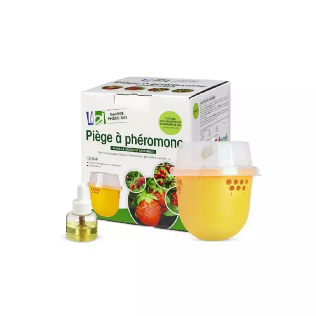 Kit piège + Kairomone Mouche des fruits rouges (suzukii)