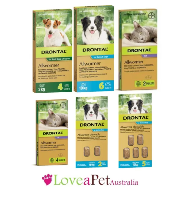 Drontal Allwormer for All Size Dogs & Cats - Dog Cat Worming Wormer Dog Wormer