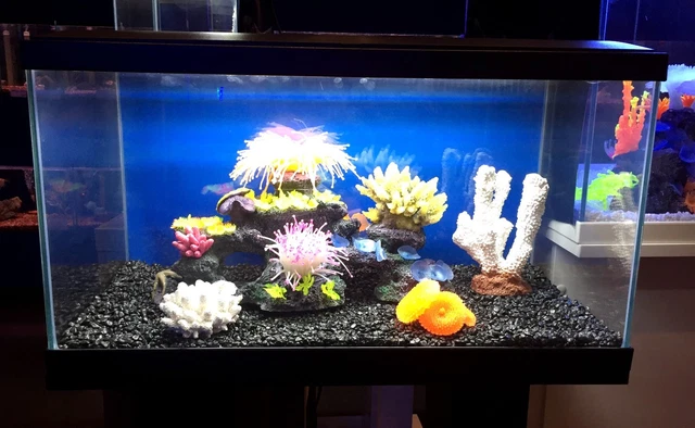 Ciano Aqua 60 2ft Tropical Glass Aquarium Tank Inc Filter LED Lights Heater 58L 2