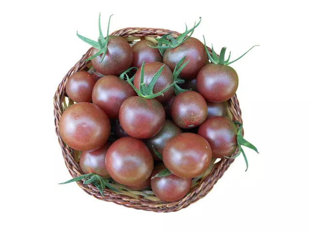 Tomate Black Cherry 10 Samen , Super Ertrag