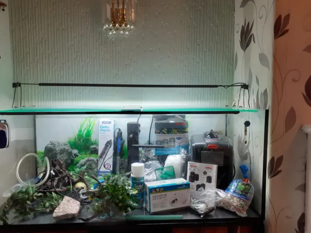 4ft fish tank aquarium