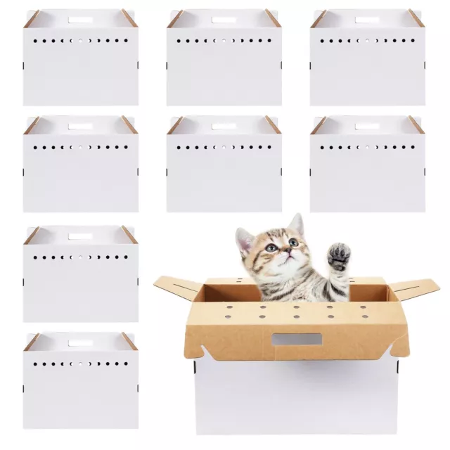 Portamas de mascotas de cartón Kisston de 12 piezas 17,5 x 8,5 x 15 pulgadas para ani...