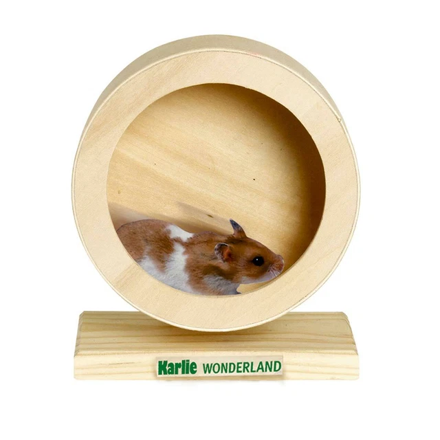 HAMSTER WHEEL PETS Roue De Hamster Roue De Hamster Pour Hamster Nain EUR 7,50 - FR