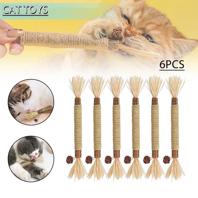 New 6pcs Catnip Toys Cat Wand Silvervine Sticks Cat Toy For Indoor Chew Cats B